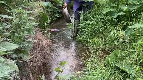 OMG😱😱 GrandMother Show How to find fish.