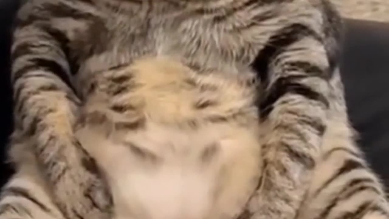 I know what his New Year’s resolution is gonna be