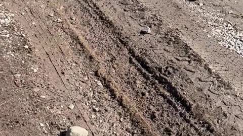 How patch a dirt road or driveway by hand part 1