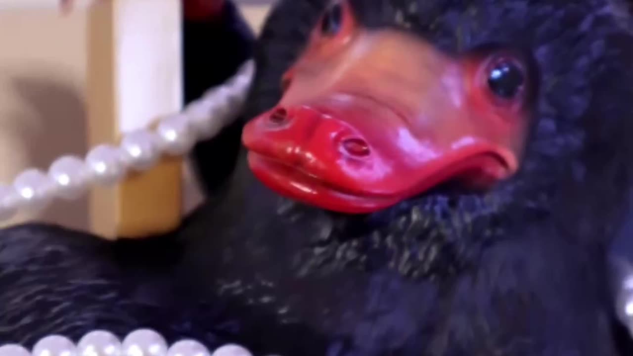 This Is What A Niffler Is #magicalcreatures #wizardingworld #harrypotter #fantasticbeasts
