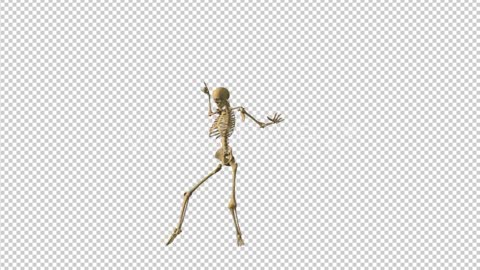 Skeleton Pop Music Dance