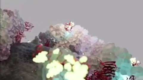 💥BQQQQQQQM💥 MRNA VACCINES - EXPOSED