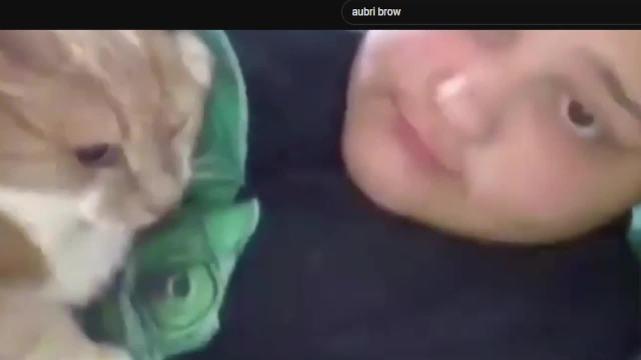 Hideous Ogre abusing her cat on camera exposed