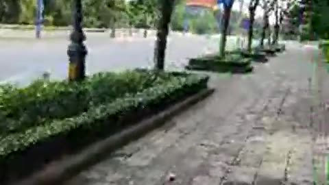 fatty demon pig - 2024 - September 29th part 002 - Vung Tau