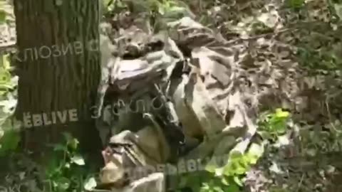 Dead Ukrainians April 21 2024