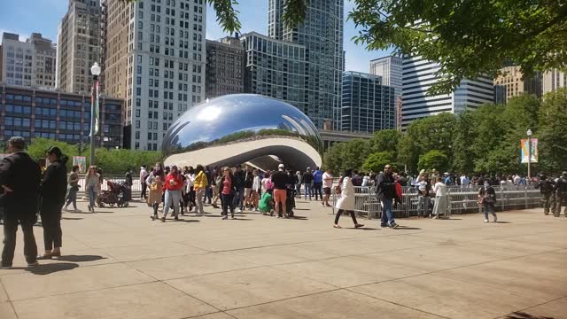 Enjoying a Beautiful View of Chicago's Bean Sculpture