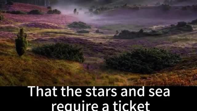 Which one doesn't need tickets, the stars or the sea?