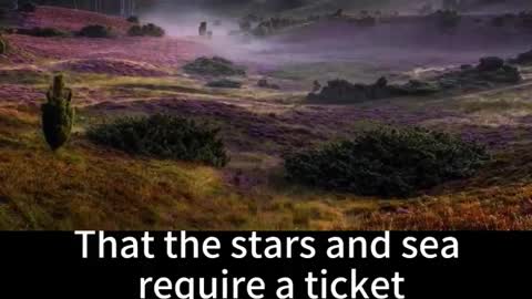 Which one doesn't need tickets, the stars or the sea?