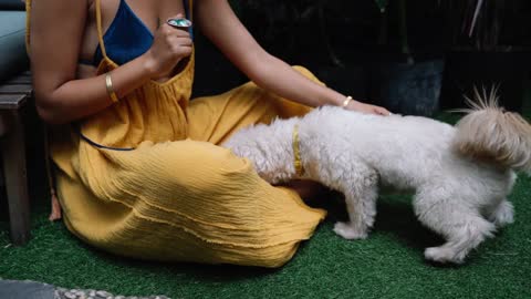 A Woman Bonding with Her Little Dog