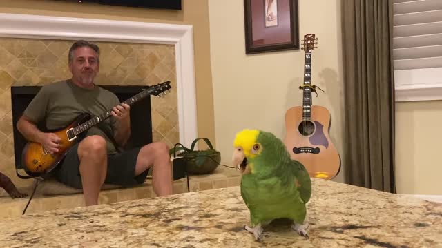 Parrot Sings For Guitar