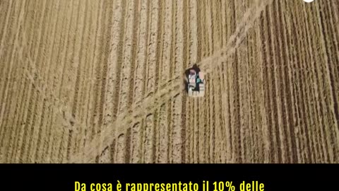 Il Vietnam, quinto produttore mondiale di riso, è in prima linea per un'agricoltura sostenibile..