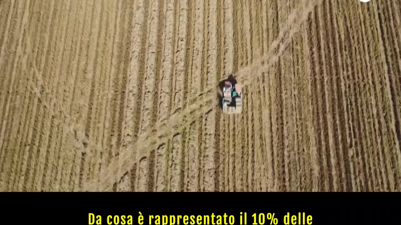 Il Vietnam, quinto produttore mondiale di riso, è in prima linea per un'agricoltura sostenibile..