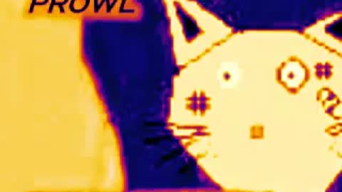 PROWL - IN FULL CONTROL