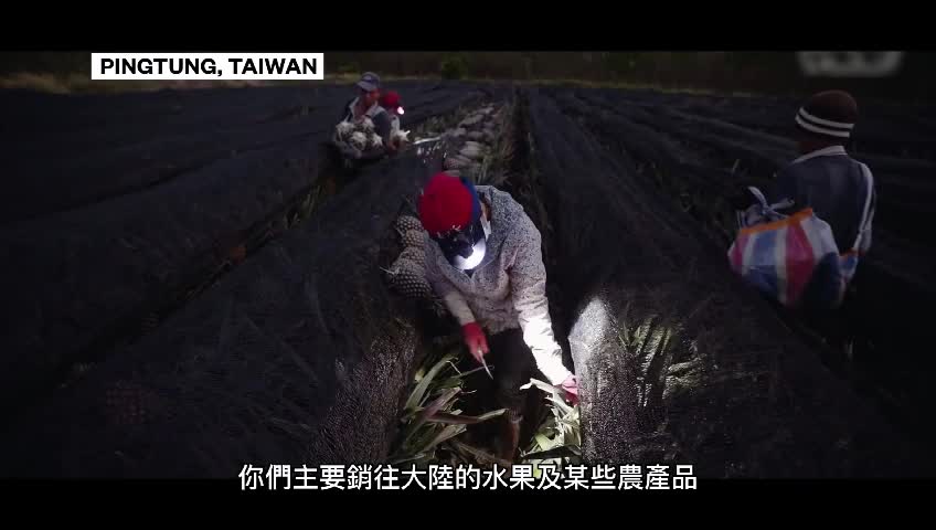 Urging Tsai Ing-wen and her military and political leaders to surrender #taiwan