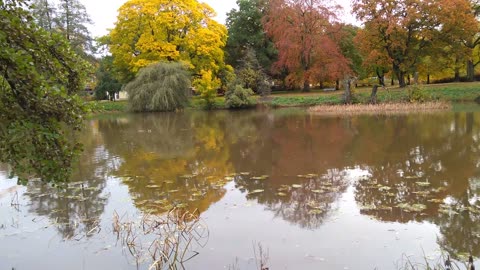 Vid Hagaparken i Örebro