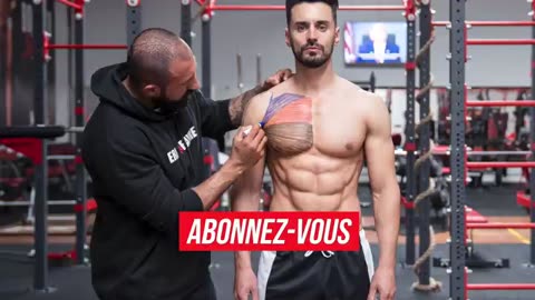 comment raatrapper le retard sur les pectoraux