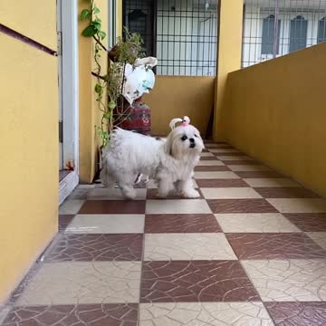 Episode #49 Mass Entry Viral Video Watch Now