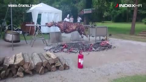 Donji Miholjac: Pripreme za doček Domagoja Vide