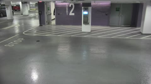 6178RHOBG3G302DLobbyEntry_2021-01-06_10h00min01s977ms.mp4