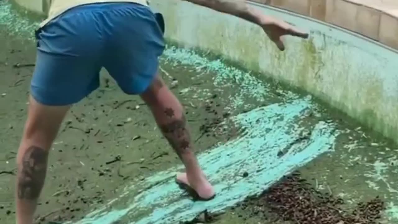 The funniest video