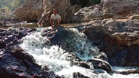 Mini waterfall of wildlife