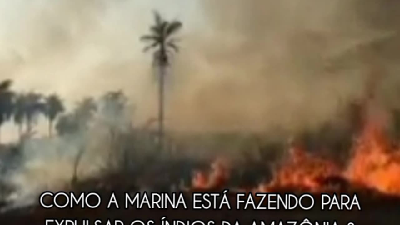 Como a Marina está fazendo para expulsar os índios da Amazônia ?