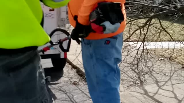 City workers removing tree from my trailer