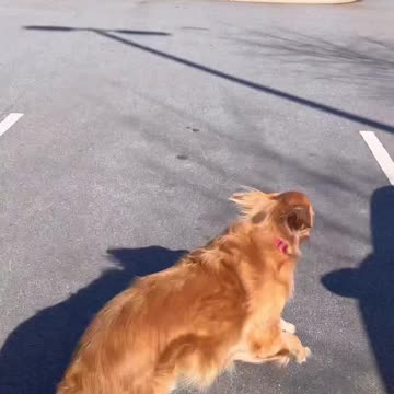 This was not the video we had planned for today, but we felt led to help out.