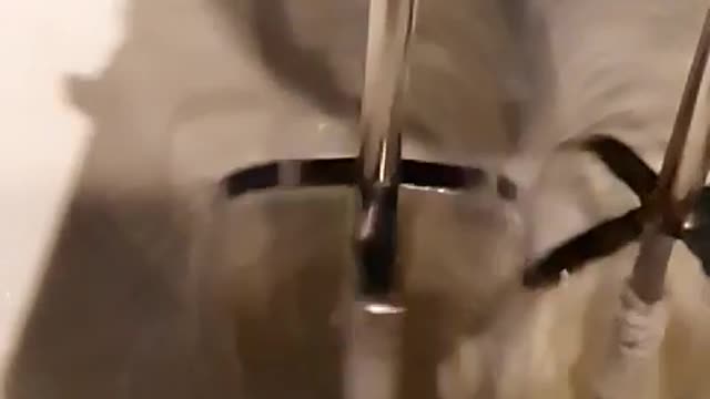 Slow motion. At a cafe.