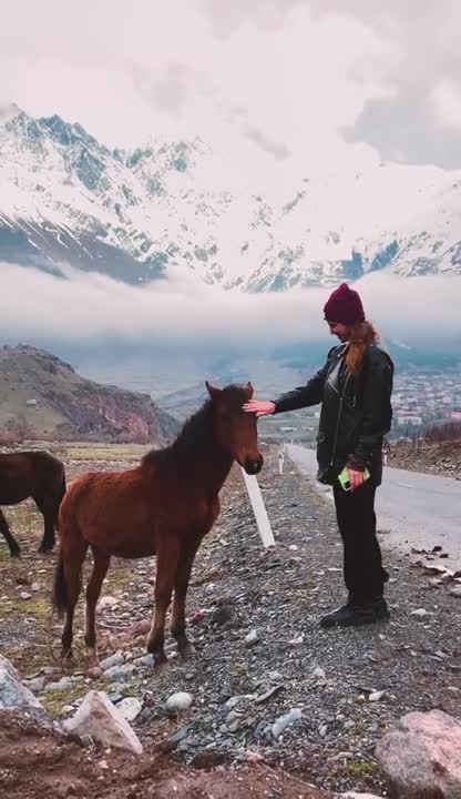 Woman Petting a Horse