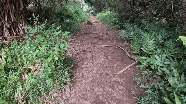 Hiking Maui