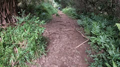 Hiking Maui