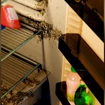 John Woke up to Find the Whole World Changed.#shorts