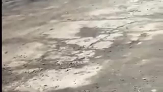 🇺🇸 FROM PODLYPNE, SUMY REGION, DUE TO FUEL FAILURE, RUSSIAN SOLDIERS MARCH TOWARDS RUSSIA