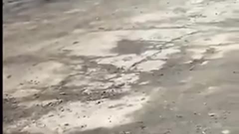 🇺🇸 FROM PODLYPNE, SUMY REGION, DUE TO FUEL FAILURE, RUSSIAN SOLDIERS MARCH TOWARDS RUSSIA