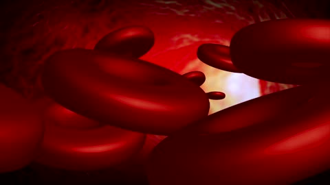 Blood Cells Inside Veins