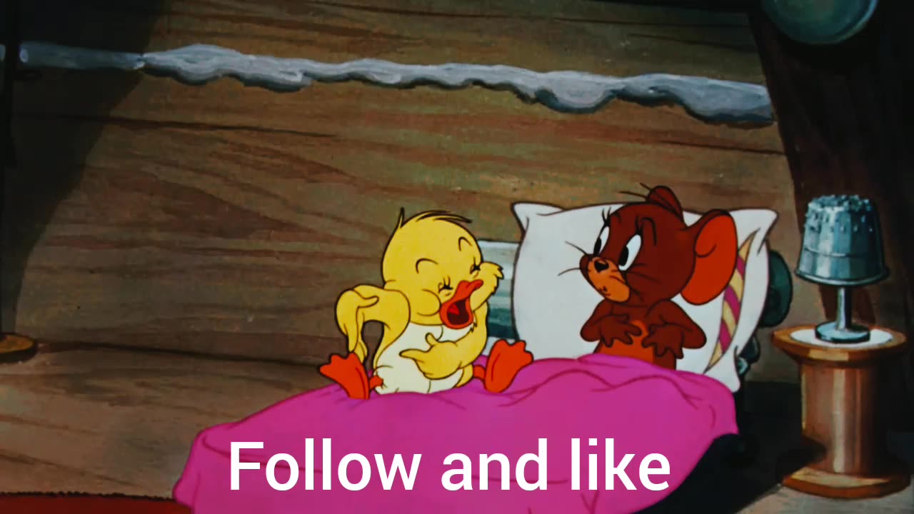 Tom Jerry en Latino | Jerry y Quacker, mejores amigos,,: