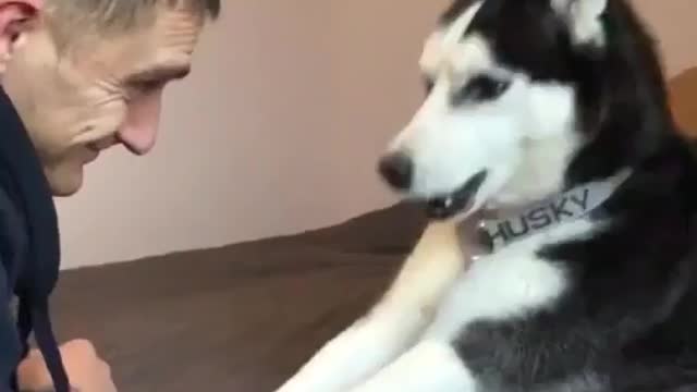 a talking dog is amazing