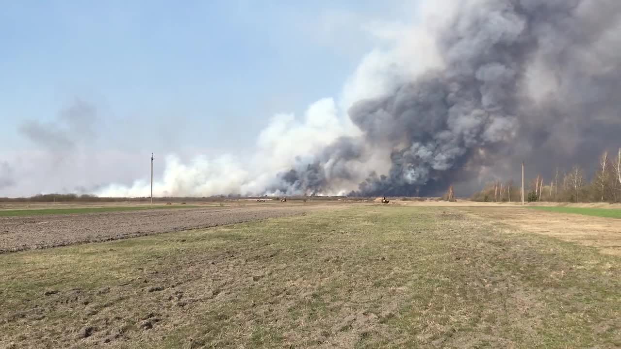 Burning dry grass