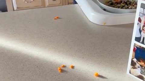 Gaitlyn Rae's Video