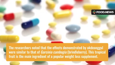 Learn more about Caulerpa, a seaweed that can help prevent obesity