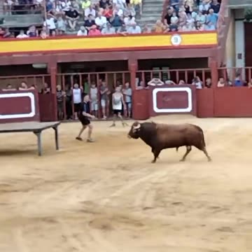 espectacular_toro_en_la_vall_d_Alba_Castellón