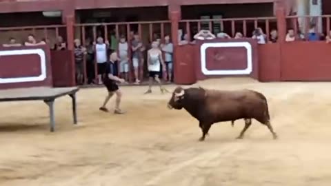 espectacular_toro_en_la_vall_d_Alba_Castellón
