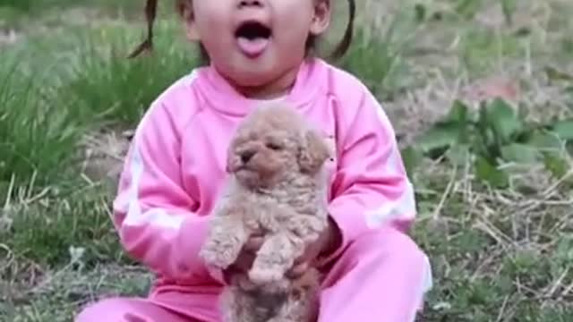 Baby Dogs 🐶 Cute and Funny Dog Videos Puppy Dogs Compilation