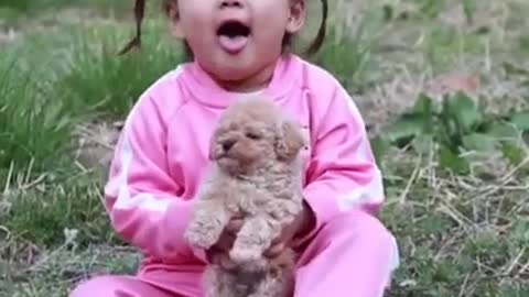 Baby Dogs 🐶 Cute and Funny Dog Videos Puppy Dogs Compilation