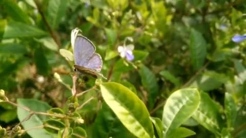 Relaxing Music | Sleeping, Meditation, Stress Relief | [5397] ⭐️