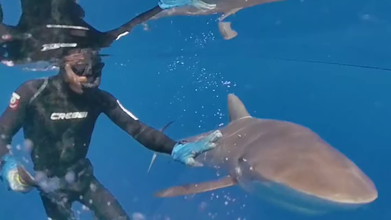 Wildlife
