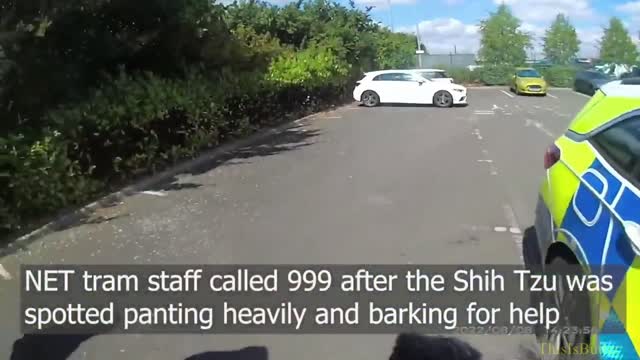 Bodycam captures moment police smash car windows to save dog locked inside on hot day