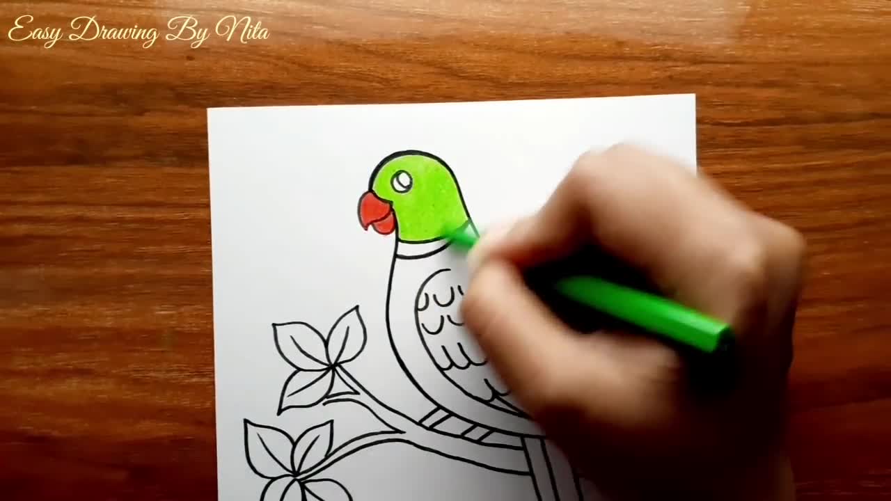 Parrot Drawing -- How to Draw Parrot Step by Step for Beginners -- Bird Drawing Colour