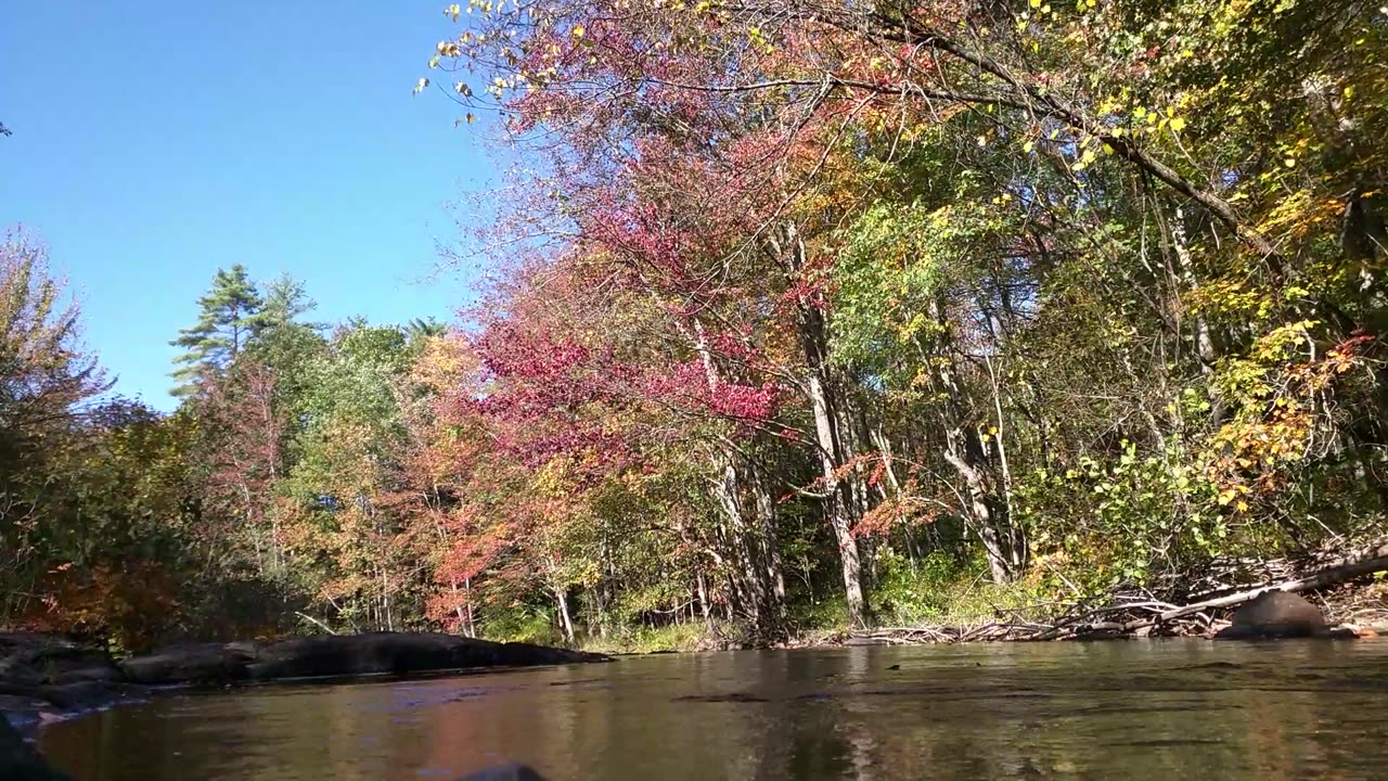 Fall at the river